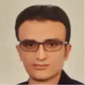 میثم صالحی سیچانی