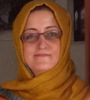 مریم ناوی