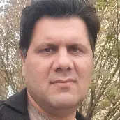 محسن حسامی آرانی