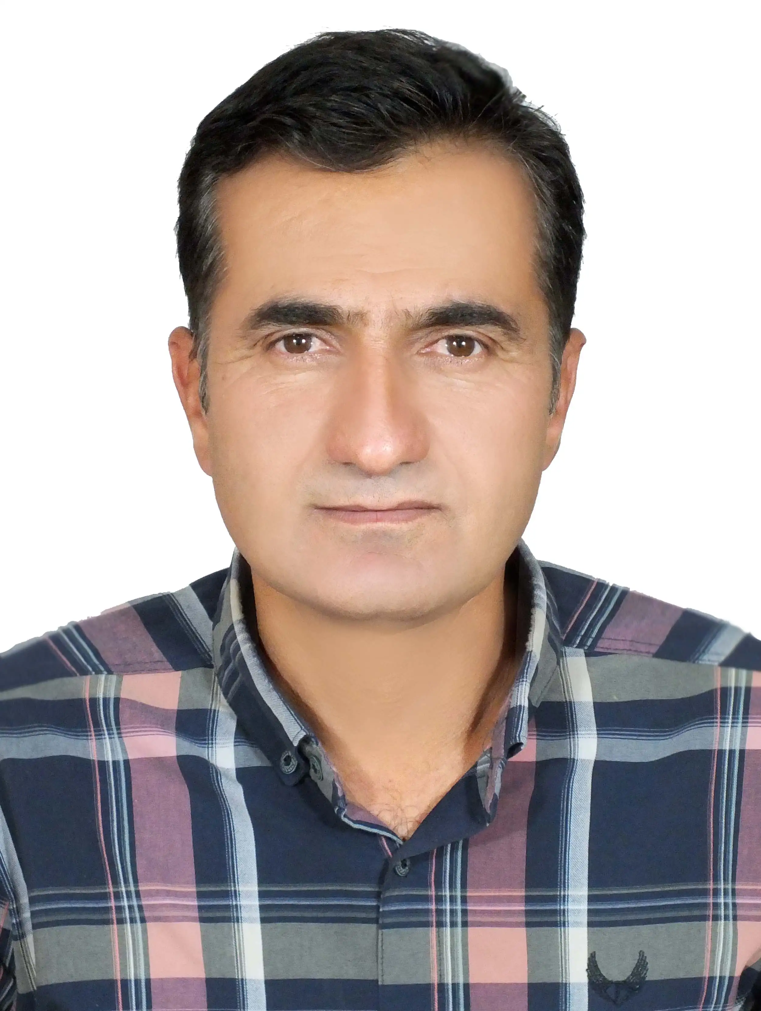 مصطفی عباسی