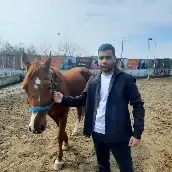 امیرمحمد گرگانی