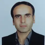 رضا دلاوری