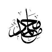 محمدحامد موسوی