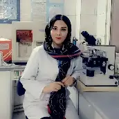 مائده برچلو