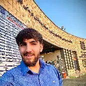 رضا مددی