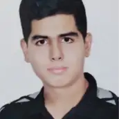 محمد حسینی