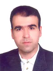 سید حسام الدین لسانی