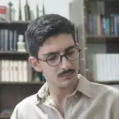 امیر عجمی