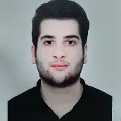 مانی صالحی