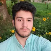 شایان داودی