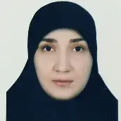 نرگس حسینی مبلغ