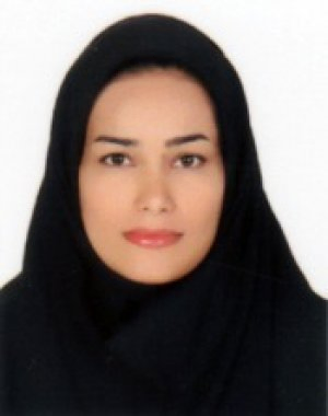 مینا شیرزاد آملی