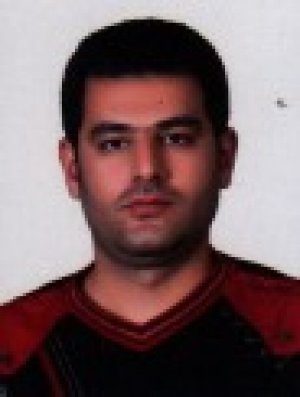 وحید ملاصادقی
