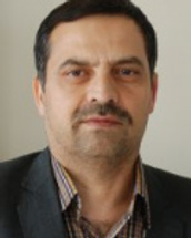 محسن شاطریان
