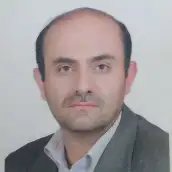 سید محمد رضا داودی