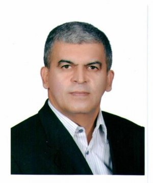 محمدرضا شمس بیدهندی