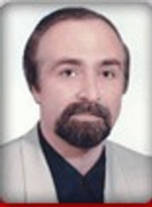 شروین ملکی