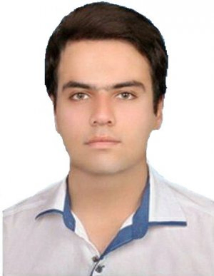 محمدرضا خواجه کولکی