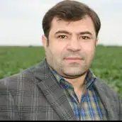 وحید نورافکن