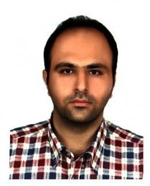 پویا پارسا