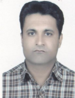 امیررضا گرشکی