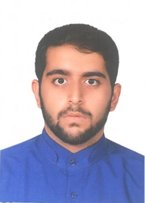 محمد حسین حامدی