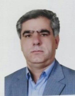 حسین رحیمی راد